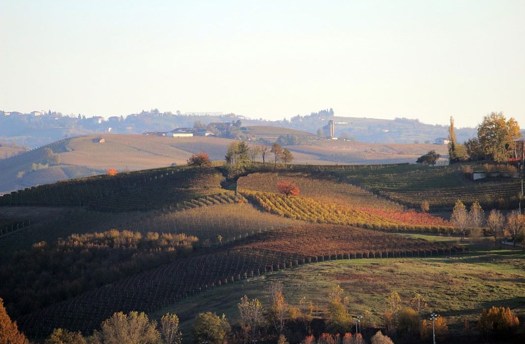 4 Location per il matrimonio: Torino e il Piemonte tra eleganza e gastronomia