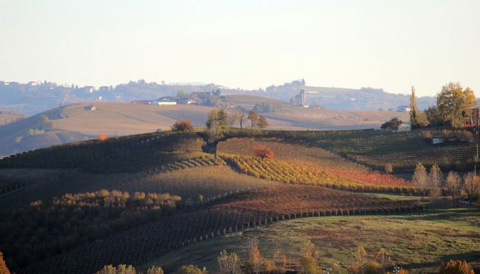 4 Location per il matrimonio: Torino e il Piemonte tra eleganza e gastronomia