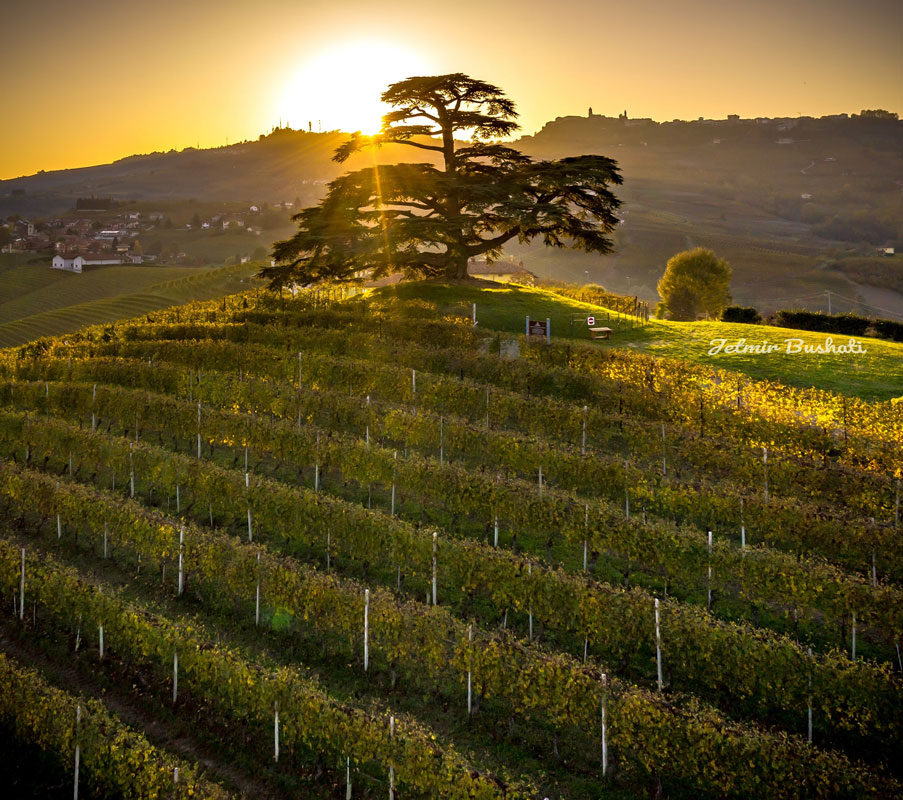 langhe - ricevimento aperitivo al tramonto