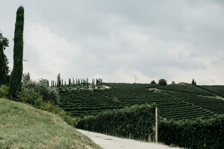 Ricerca e Selezione Location Matrimonio in Liguria e Piemonte