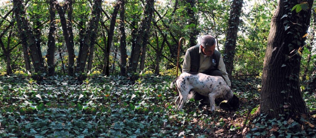 tartufo langhe - piemonte fall wedding truffle hunting